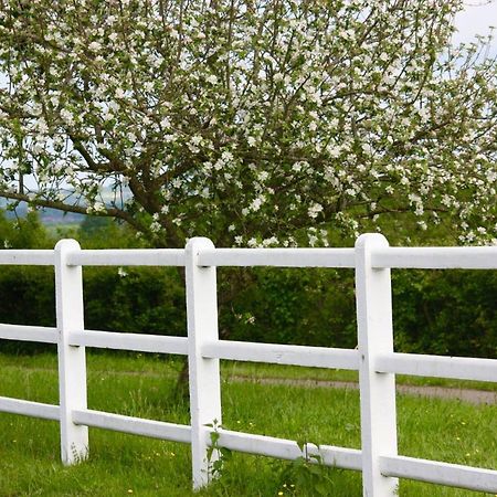 Le Haras Du Favry Apartamento Palinges Exterior foto