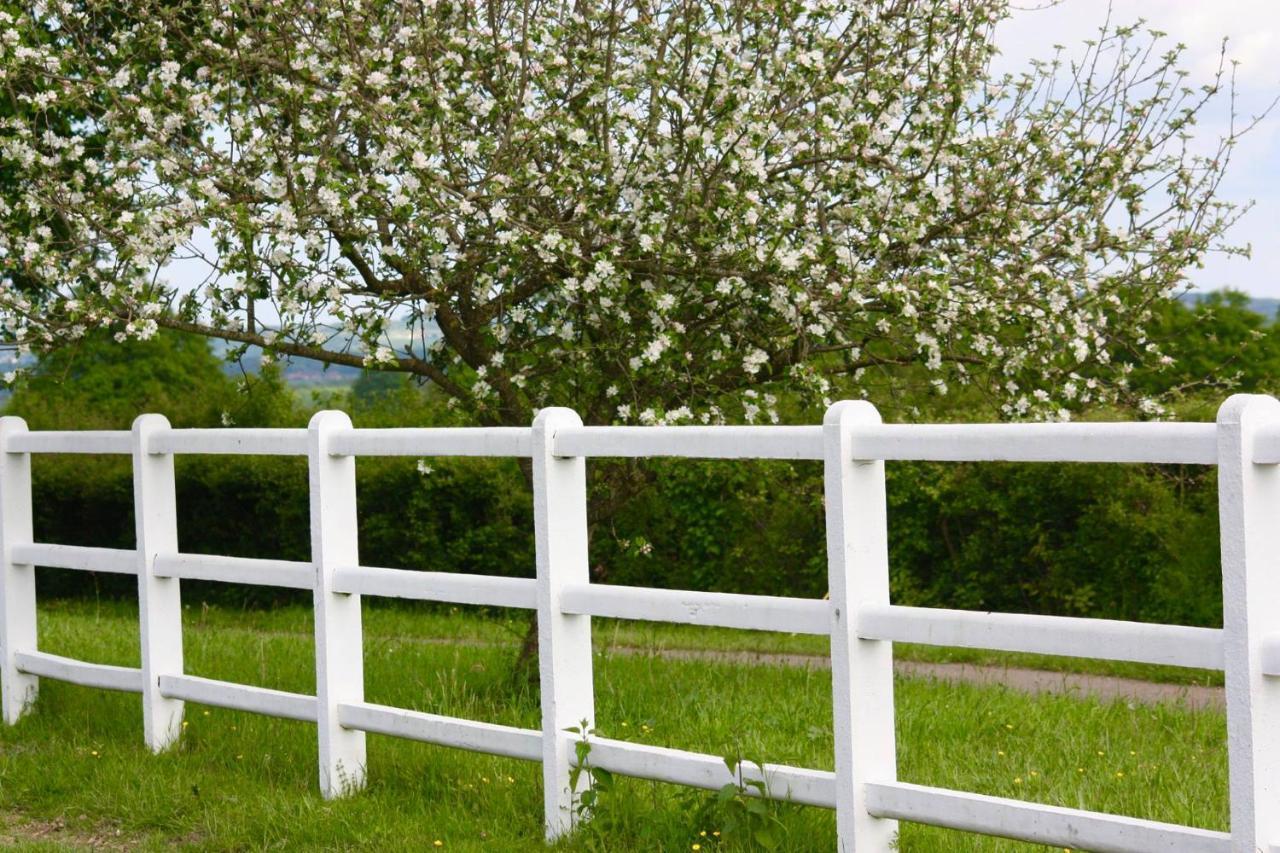 Le Haras Du Favry Apartamento Palinges Exterior foto