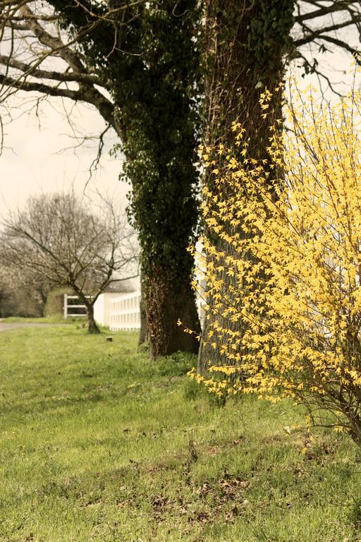 Le Haras Du Favry Apartamento Palinges Exterior foto